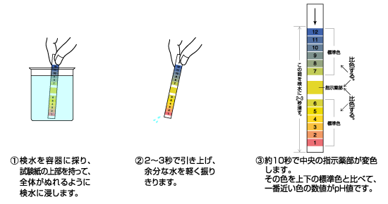 測り方